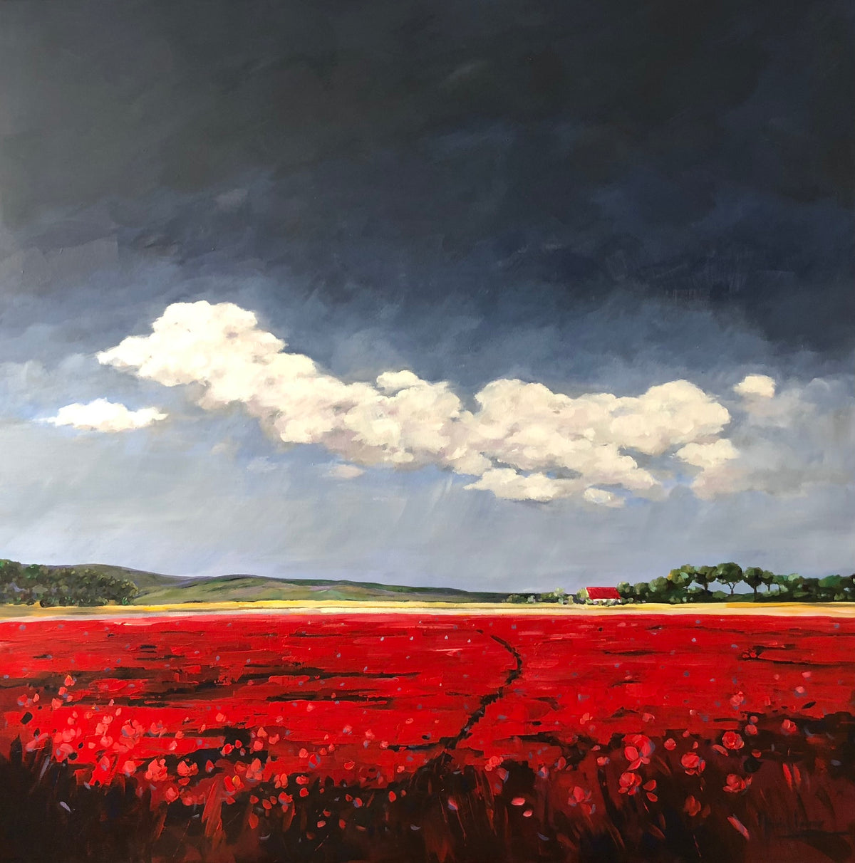 6645 Whispers of the Storm 100x 100cm