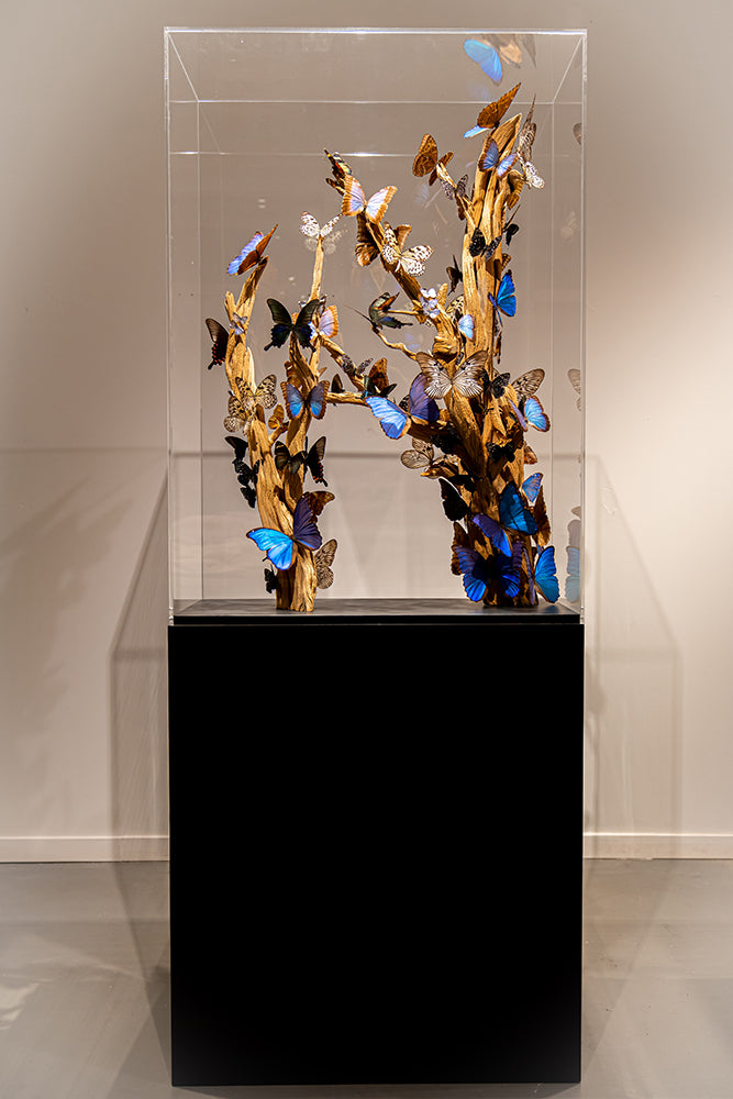 Butterfly box -box_20