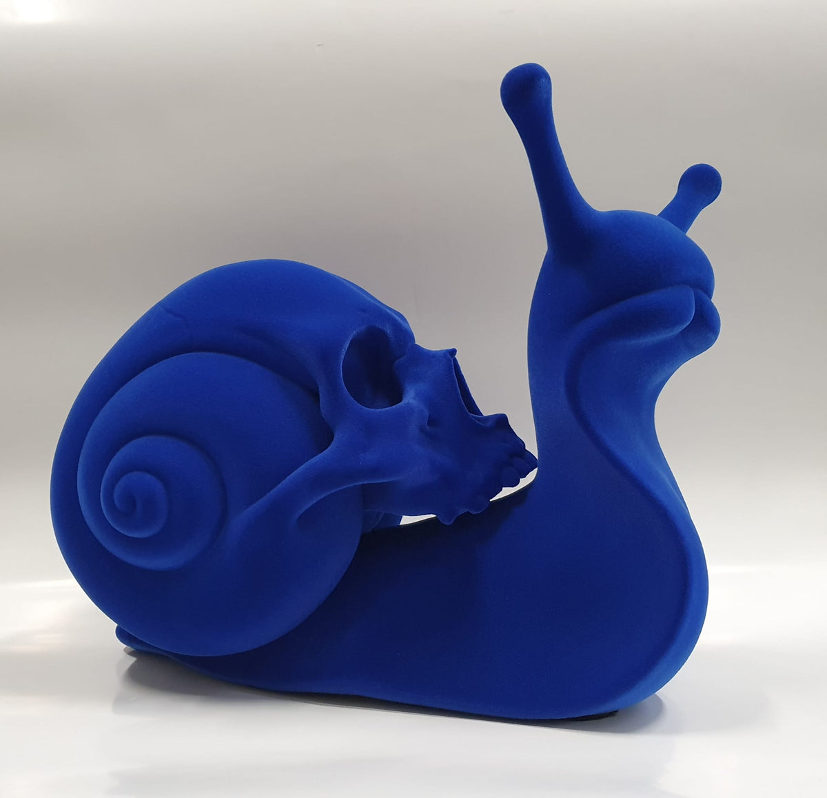 IMG-20231214-WA0041
