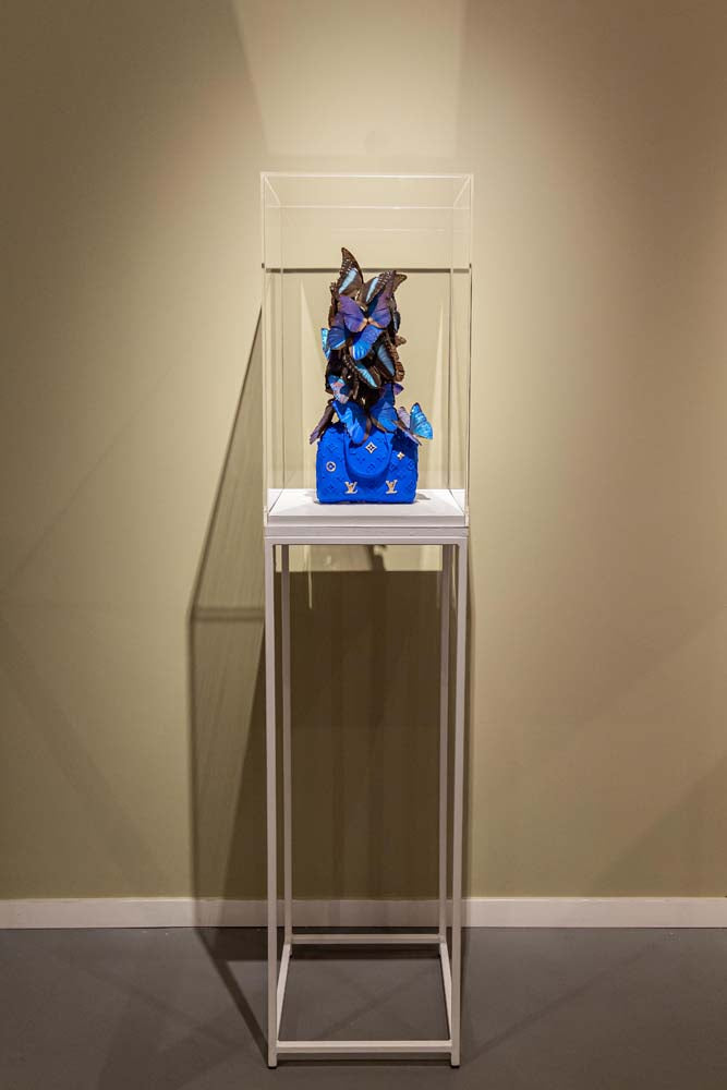 Madame Butterfly_augustus 2024_12