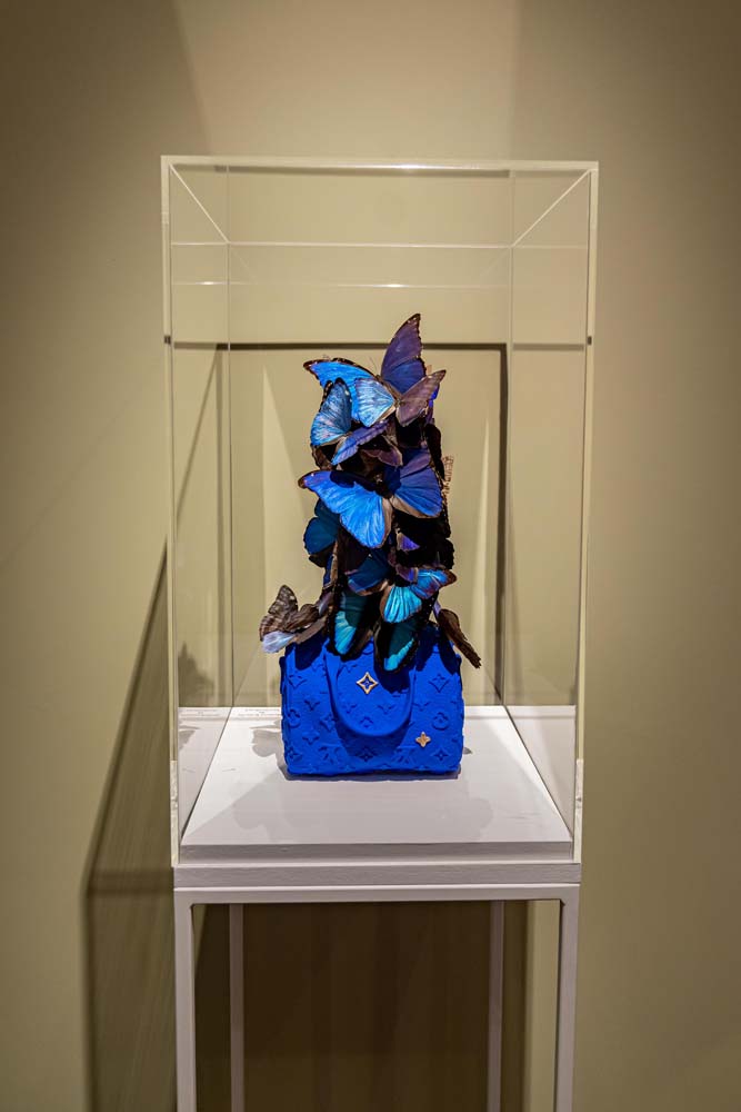 Madame Butterfly_augustus 2024_19