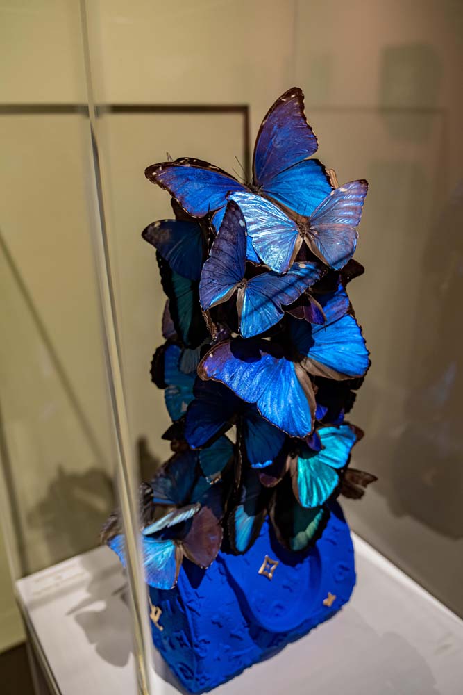 Madame Butterfly_augustus 2024_20