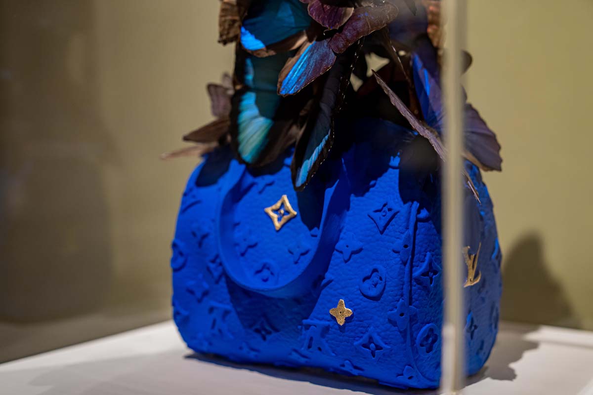 Madame Butterfly_augustus 2024_23