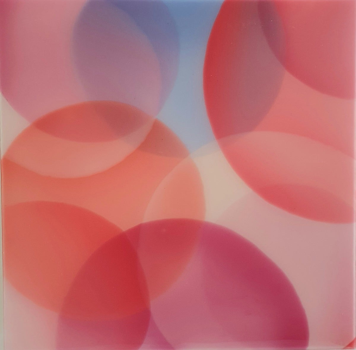 colours II 50×50