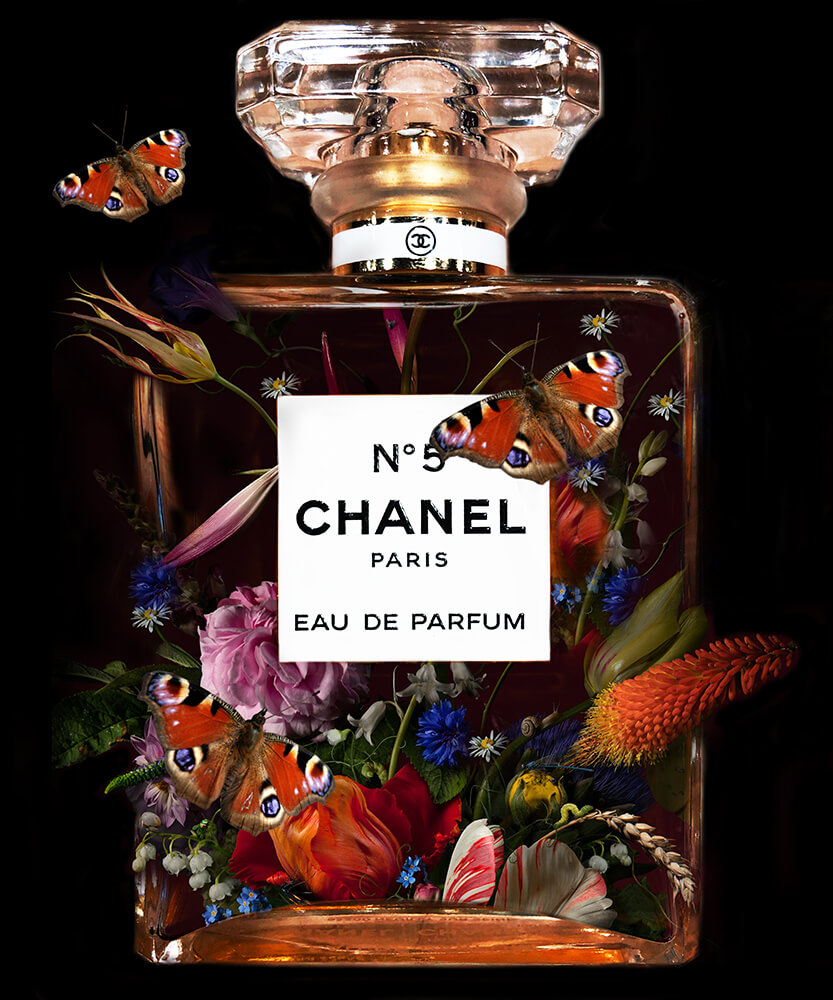 Eau de Butterfly – Mascha de Haas