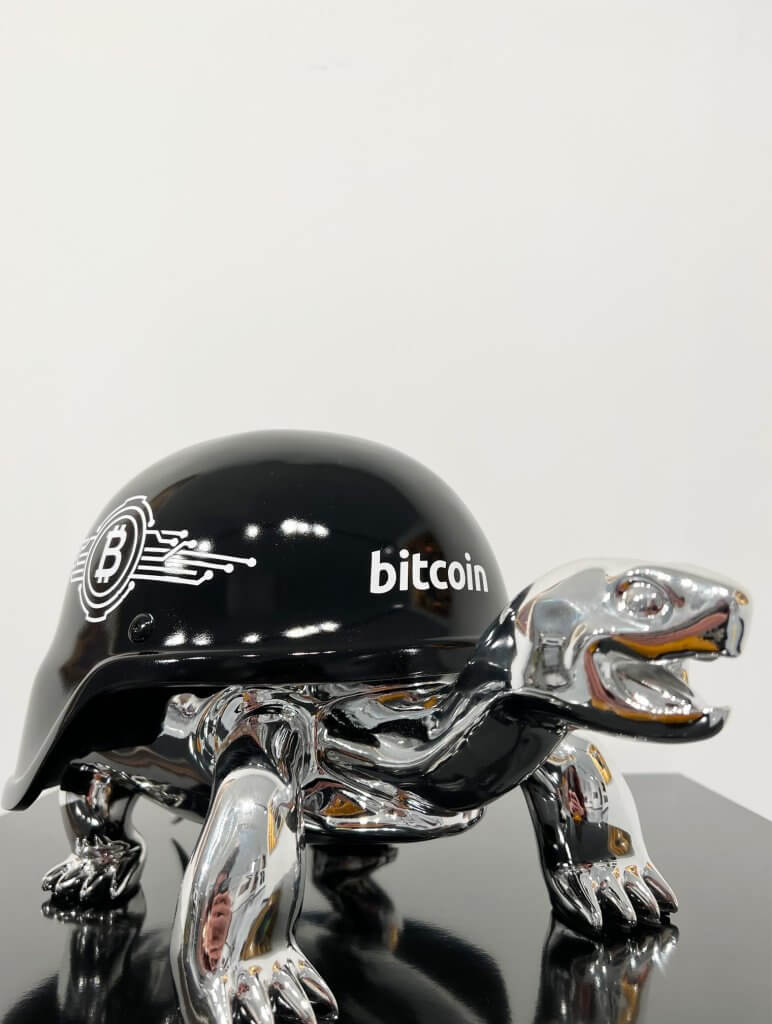 Turtle Bitcoin Silver- Van Apple