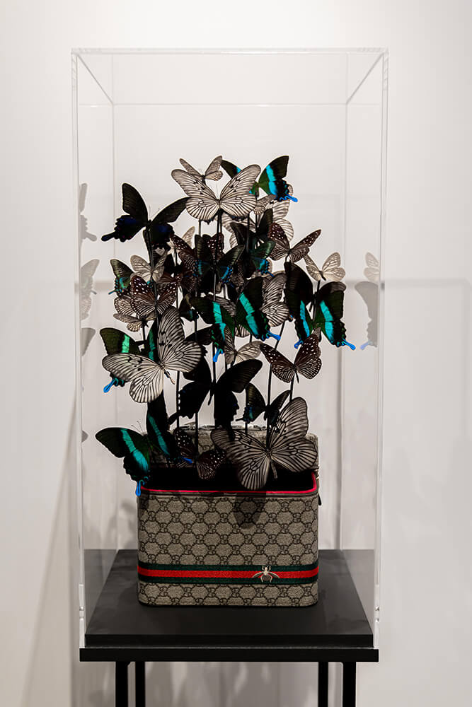 Beauty Butterfly I – Madame Butterfly by Carolien Bosch