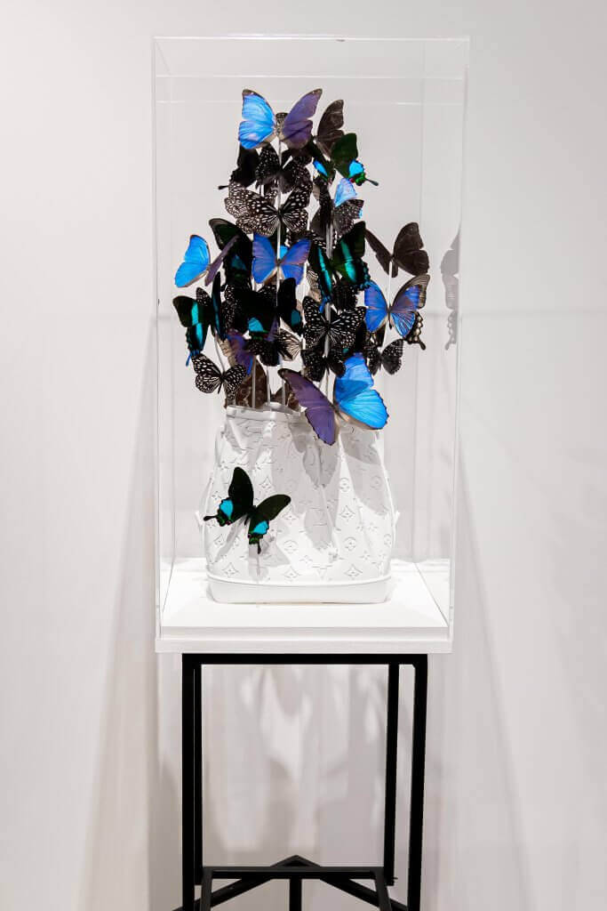 Butterfly Box V – Madame Butterfly by Carolien Bosch