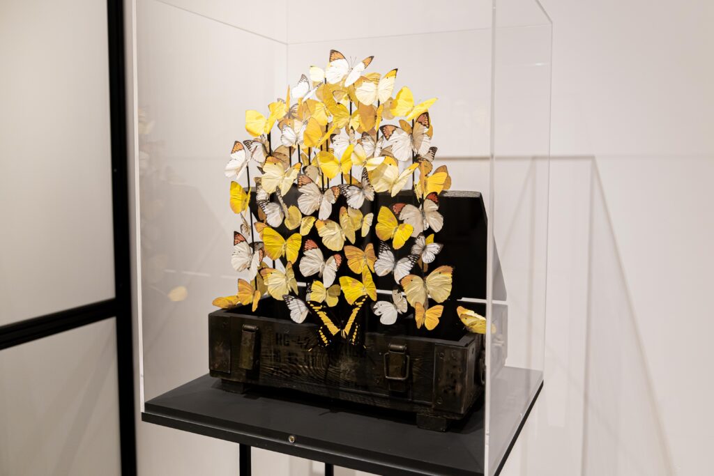 Butterfly Yellow Pride – Madame Butterfly by Carolien Bosch